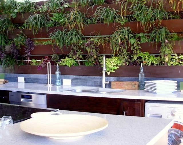 green plants for kitchen racks