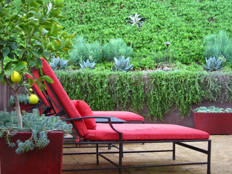 potted plant ideas for terraces