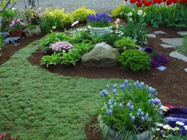 flowering plants outside landscaping