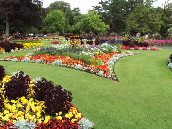 flowering plants outside deco