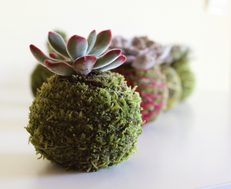 succulents floral composition foams