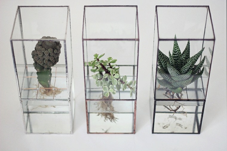 succulent hydroponics modern vase