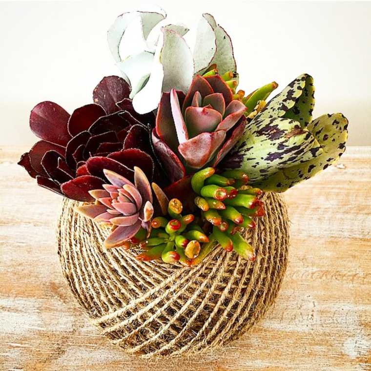 succulents idea seni bunga jepang