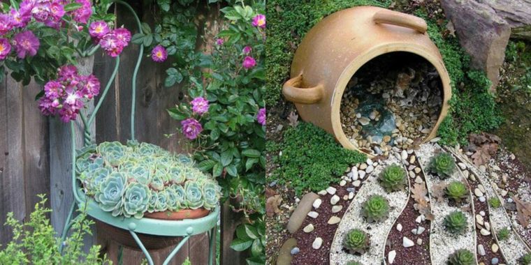 Plant-fat-outdoor-garden-deco