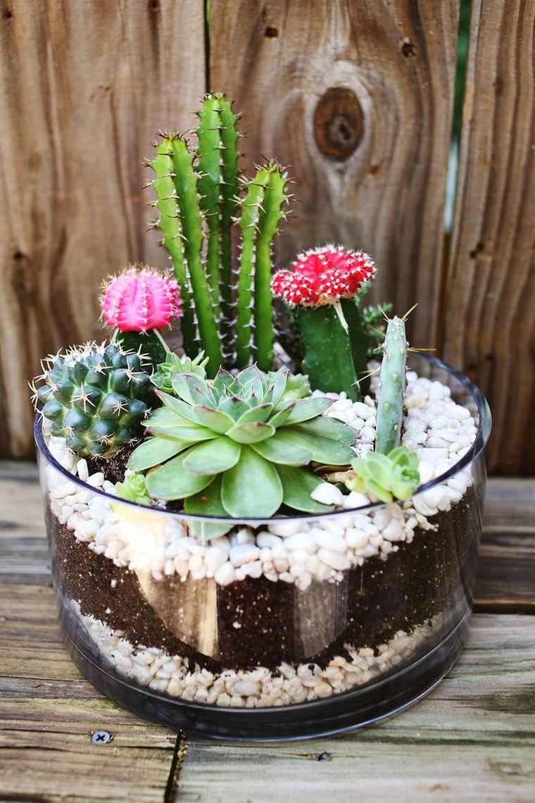 succulents outdoor mini garden-terarium