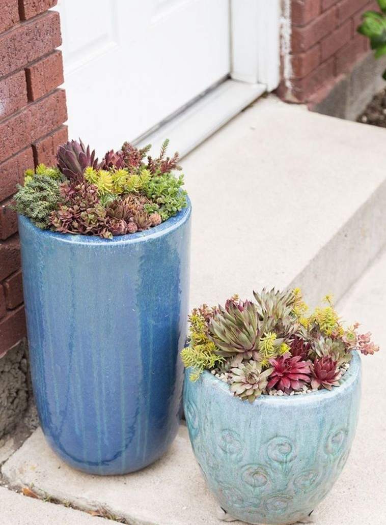 succulents outdoors pot-of-flower-kaktus-succulents