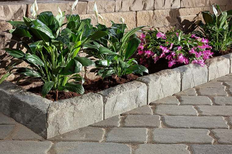 garden plants stone border