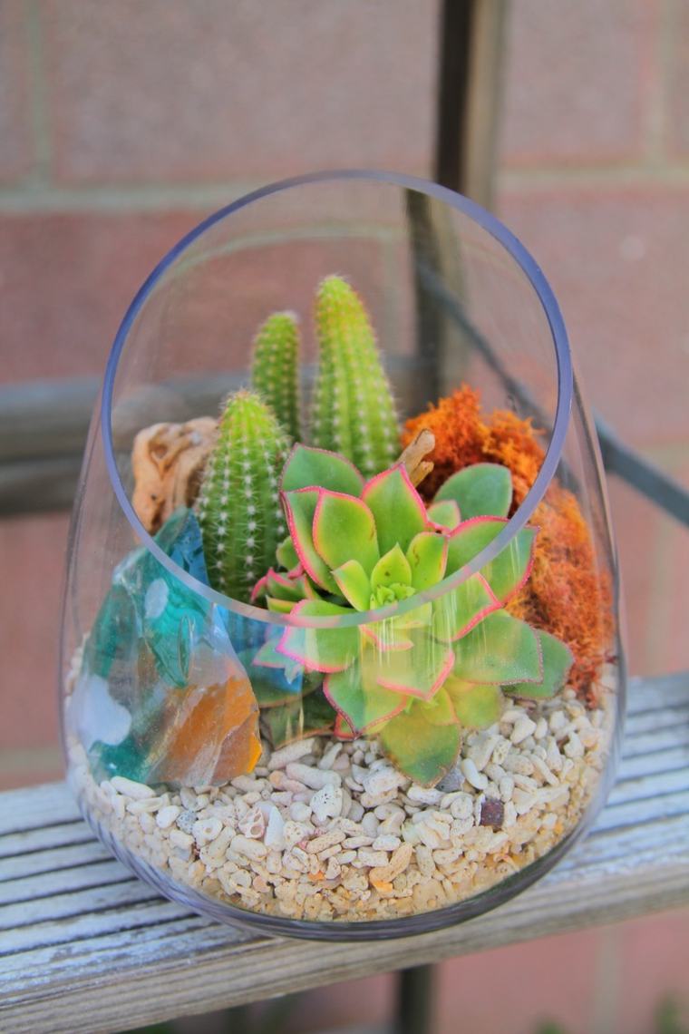 succulents make terrarium cactus