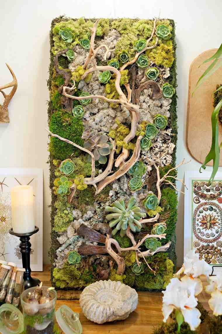 succulent plants garden-interior-vertical-diy