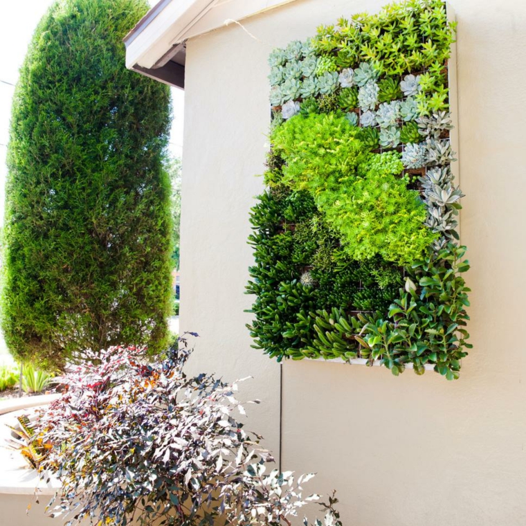 succulent plants wall garden ideas