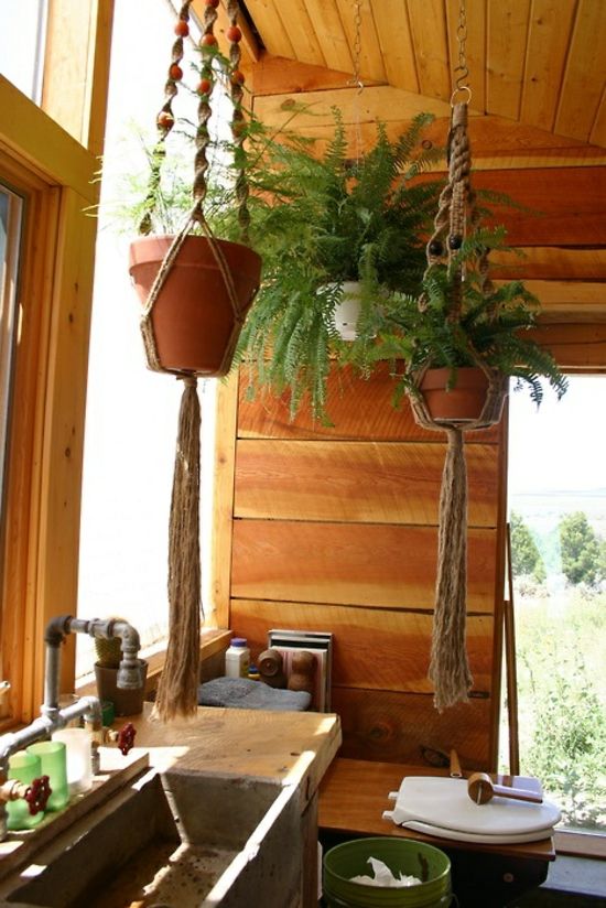 hanging plants bathroom wood