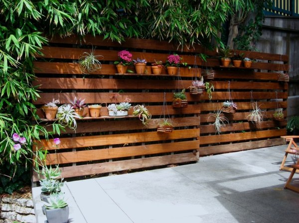 hanging plants