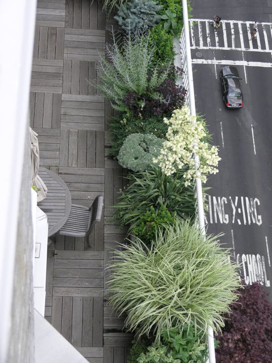 wood terrace plants