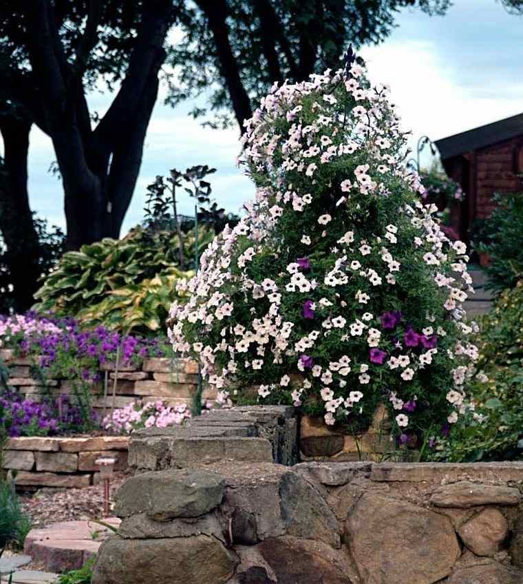 idea falling plants outdoor landscaping