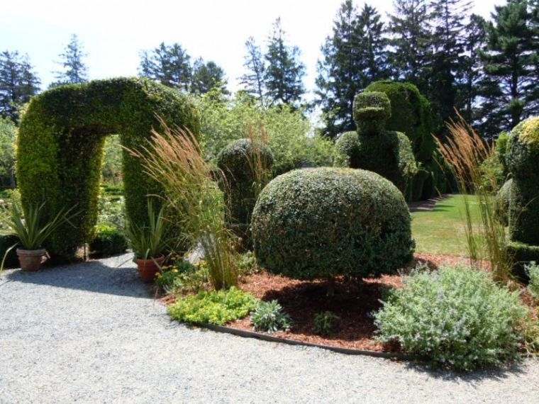 hiasan taman tumbuhan topiary