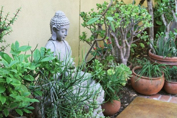 grønne planter og buddhistisk statue