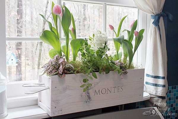 planter blomster kanten vinduet