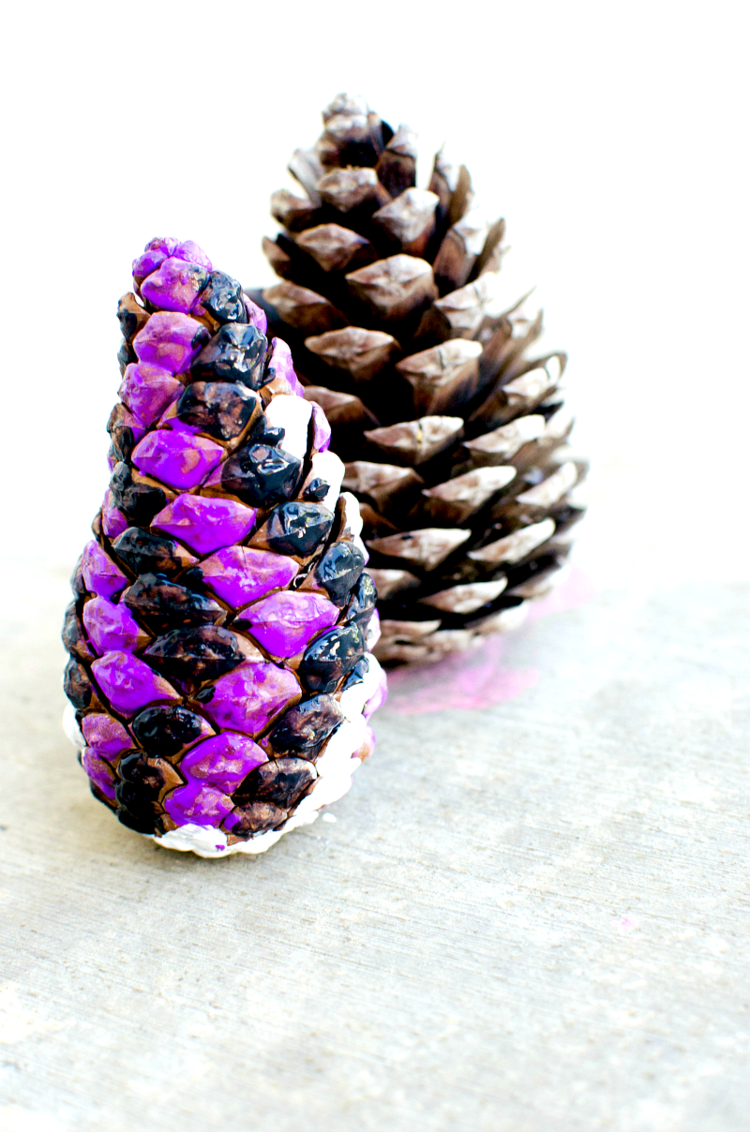 autumn pine cones decor