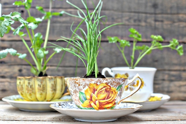 porcelain flower pots