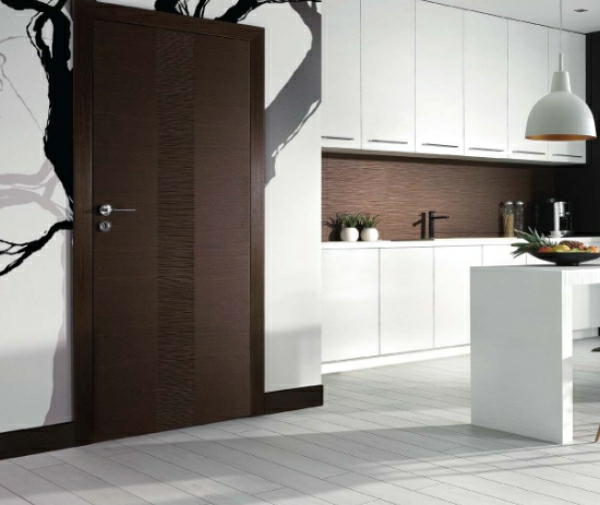 elegant design interior door