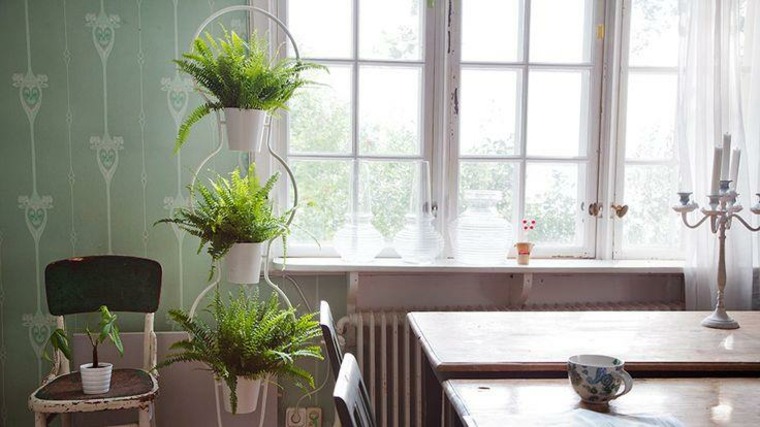 modern interior flower pots