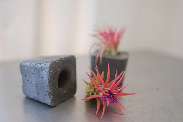 reka bentuk periuk bunga tumbuhan succulent dalam konkrit