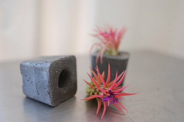 flower pot design succulent plant in concrete