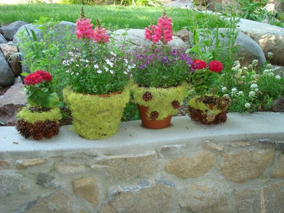 terracotta flower pot deco garden