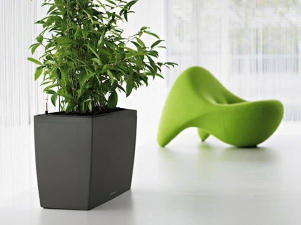 gray flowerpot lechuza