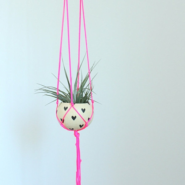 pot suspension flowers string