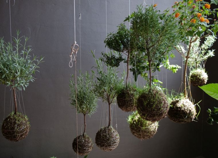 suspension plant pot indoor