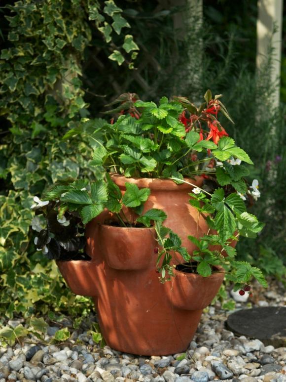 flower pot design deco garden