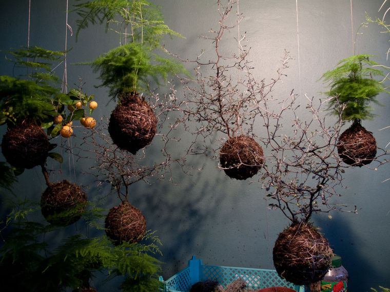 flower pot suspended garden deco interior