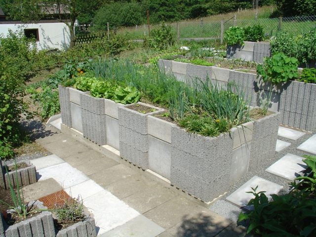 kitchen garden concrete blocks