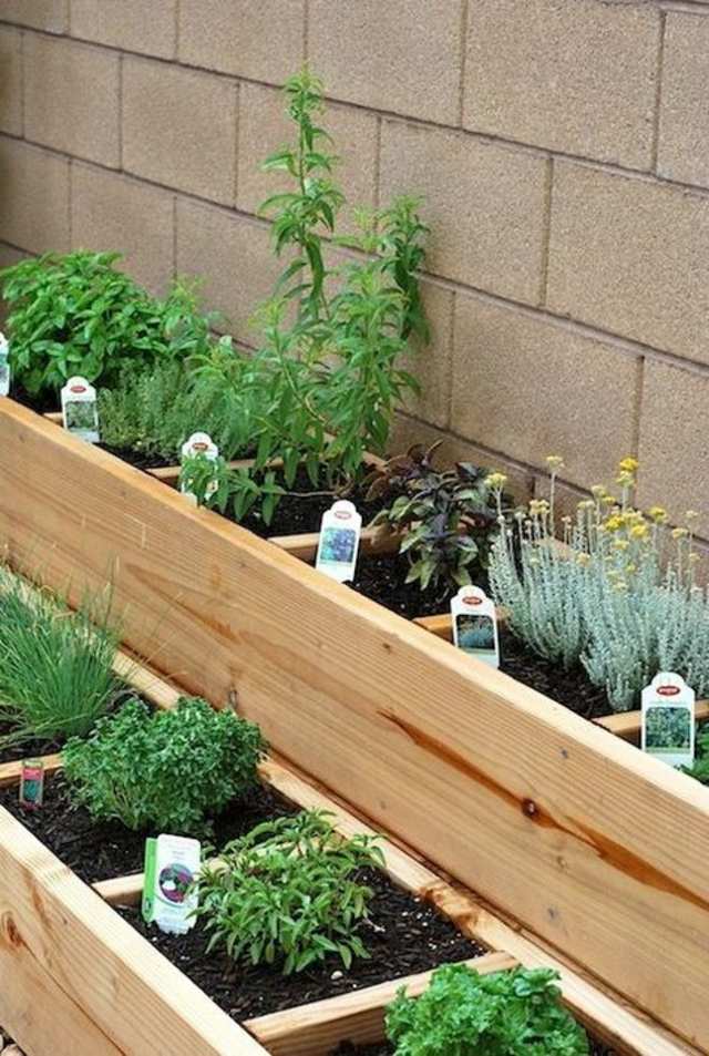 vegetable garden herbs in adjacent squares