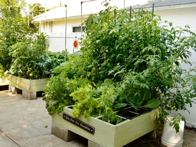 kitchen garden square cement blocks