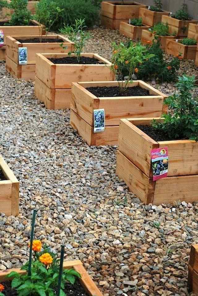 vegetable garden in square insulated bins