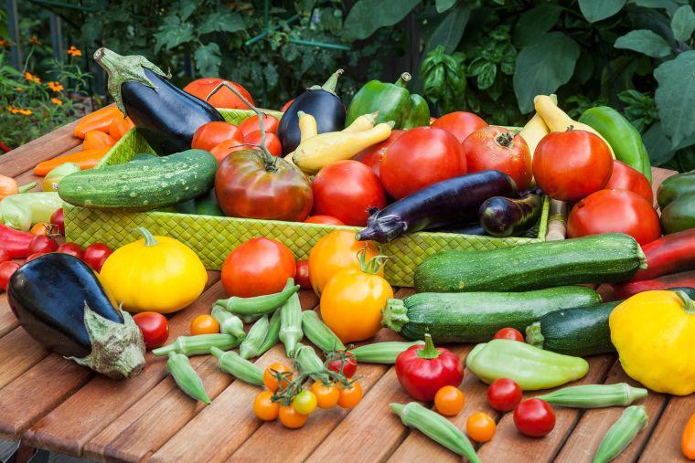 kitchen garden height garden