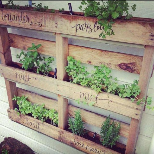 kitchen garden height terrace wooden pallet