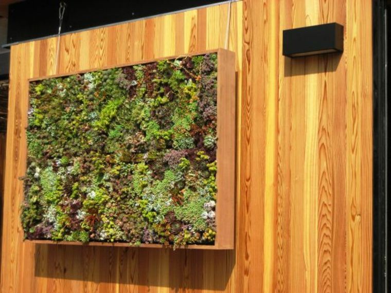 decoration wall vegetation small vertical space