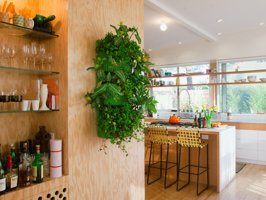 vertical-garden-interior-modern apartment