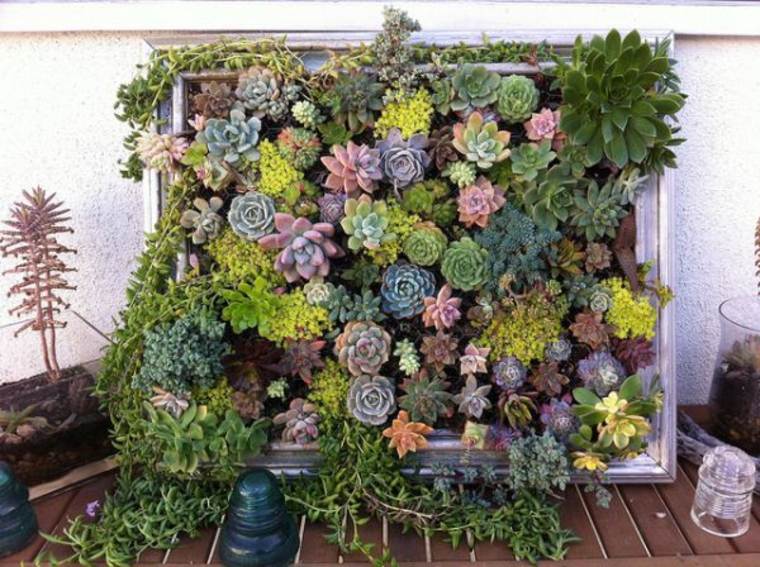 wooden frame idea vertical gardens succulents