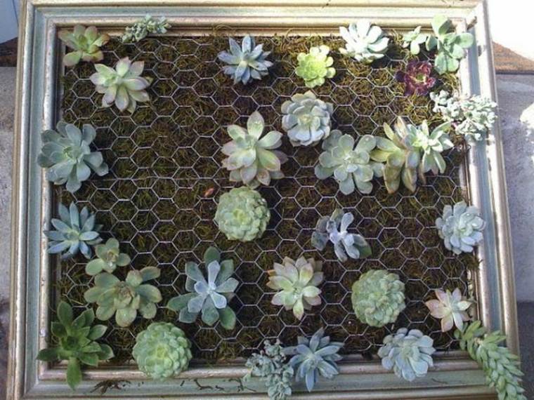 succulents plant wall idea