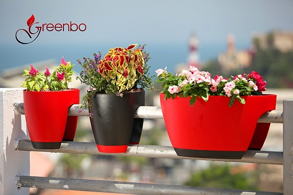 flower pots multicolored greenbo