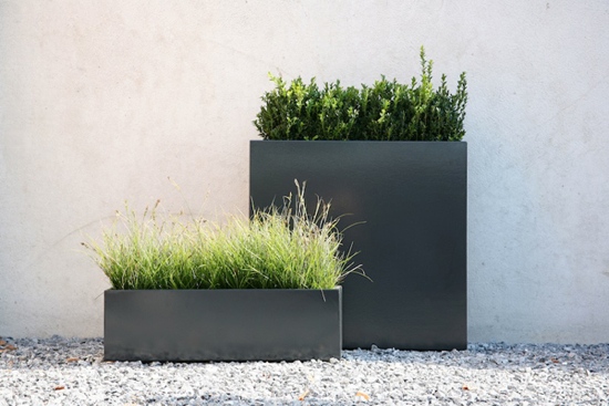 outdoor courtyard herbs