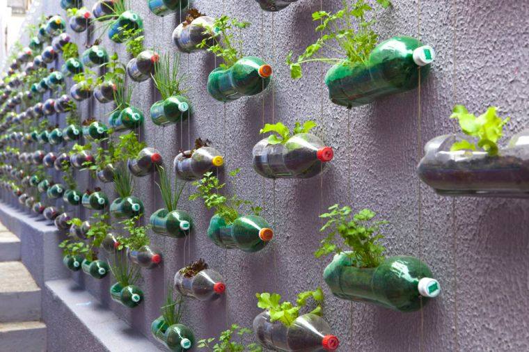 da'est-ce-qu'on-peut-faire-avec-une-bouteille-en-plastique-jardin-vertical