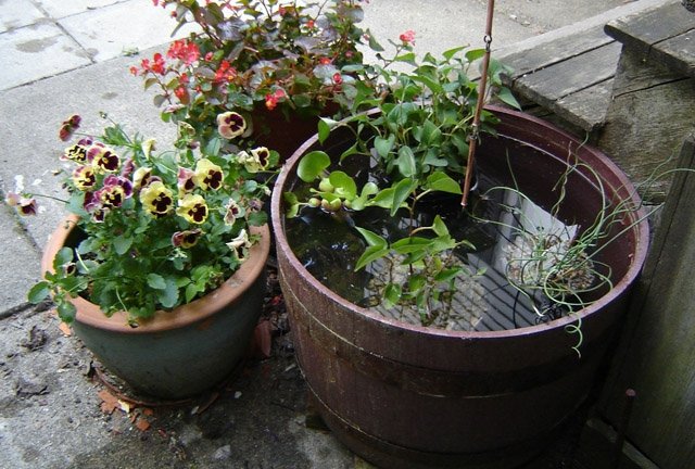 containers of'eau pour meubler un coin d'une terrasse