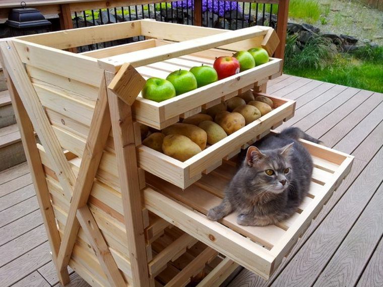 storage garden-variety-of-wood-seed-fruit