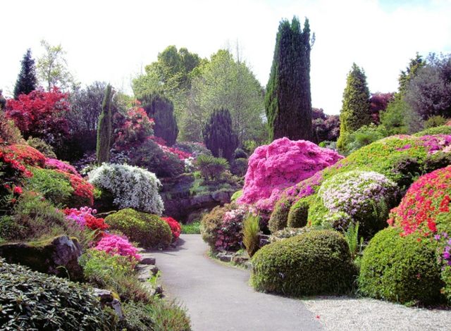 storage garden-plant