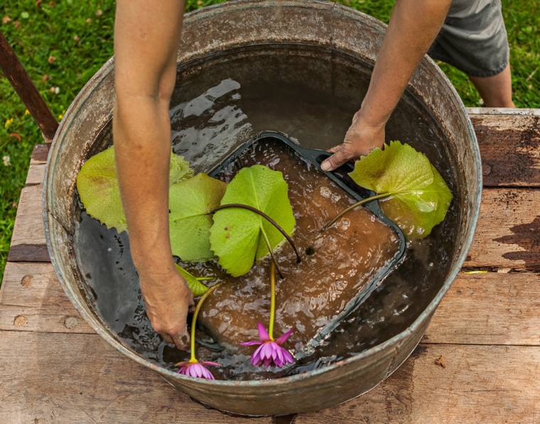 achieve-a-pool-and-water-garden-water-idee